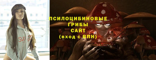 сатива Володарск