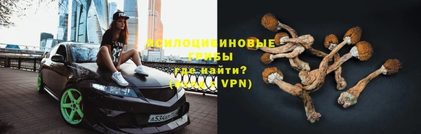 сатива Володарск