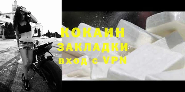 сатива Володарск